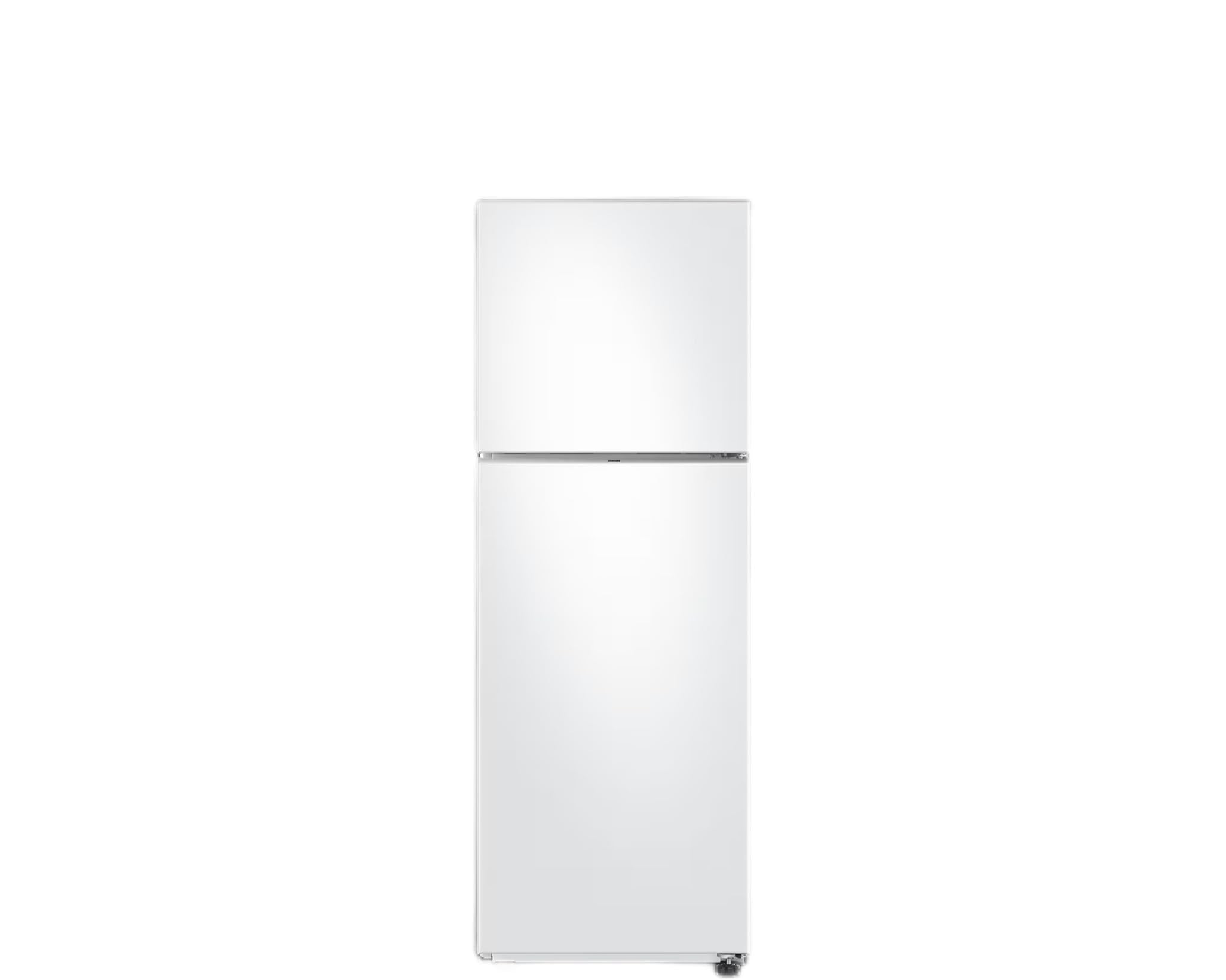 Samsung 450L Double Door Refrigerator RT45CG5004WW